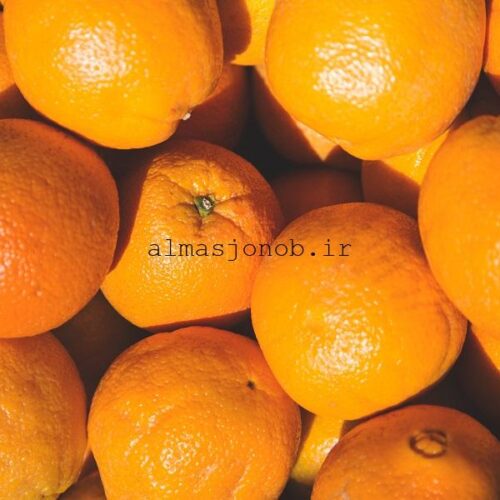 پرتقال شیرین و آبدار برنطین